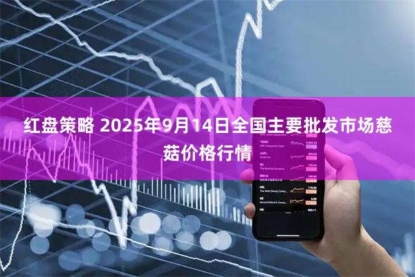 红盘策略 2025年9月14日全国主要批发市场慈菇价格行情