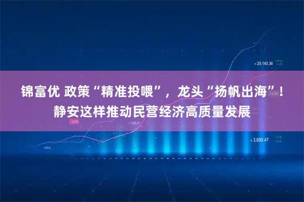 锦富优 政策“精准投喂”，龙头“扬帆出海”！静安这样推动民营经济高质量发展