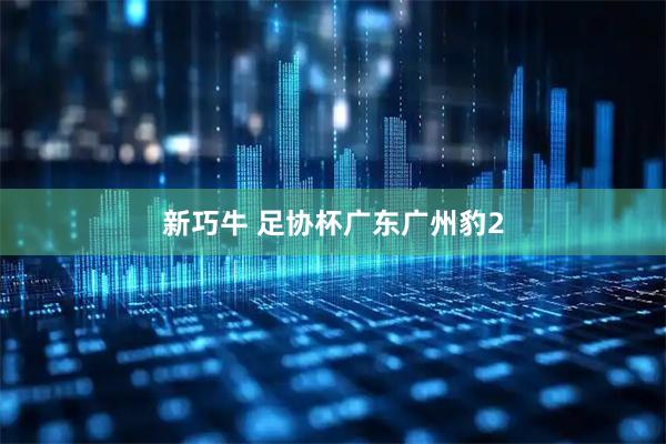 新巧牛 足协杯广东广州豹2